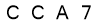 salt-81DD0A8A