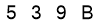 salt-33FA0674