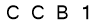 salt-5DCEB7F6