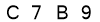 salt-9F382113