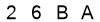 salt-A97E5646