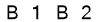 salt-47DB85D1