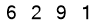 salt-1001531D