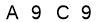 salt-8DAE0667
