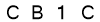 salt-AA7F88B2