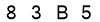 salt-361B4679
